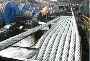 技術創新驅動發展 貴州鋼繩以研發優勢筑牢核心競爭力